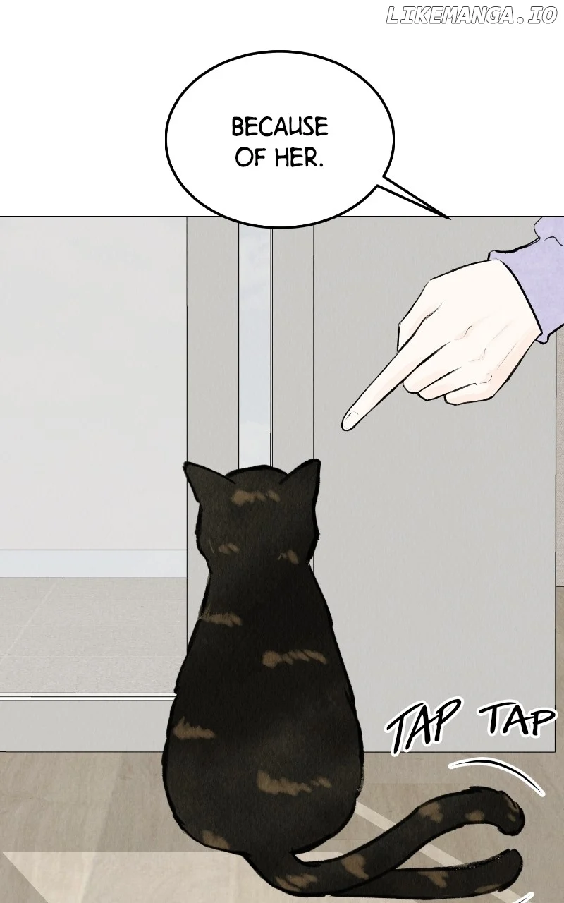 Want to See My Cat? chapter 27 page 3