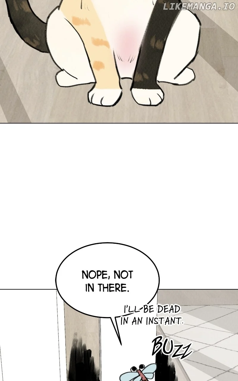 Want to See My Cat? chapter 27 page 5