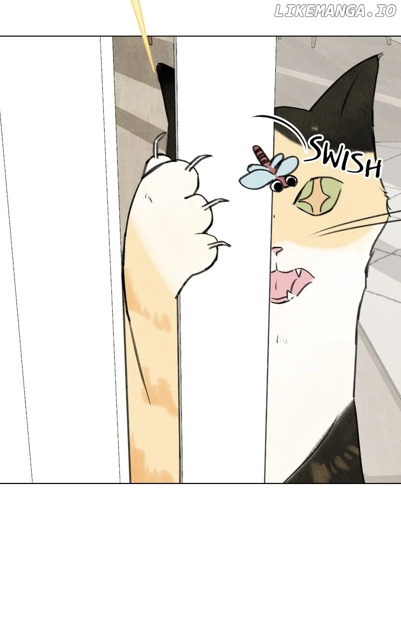Want to See My Cat? chapter 27 page 7