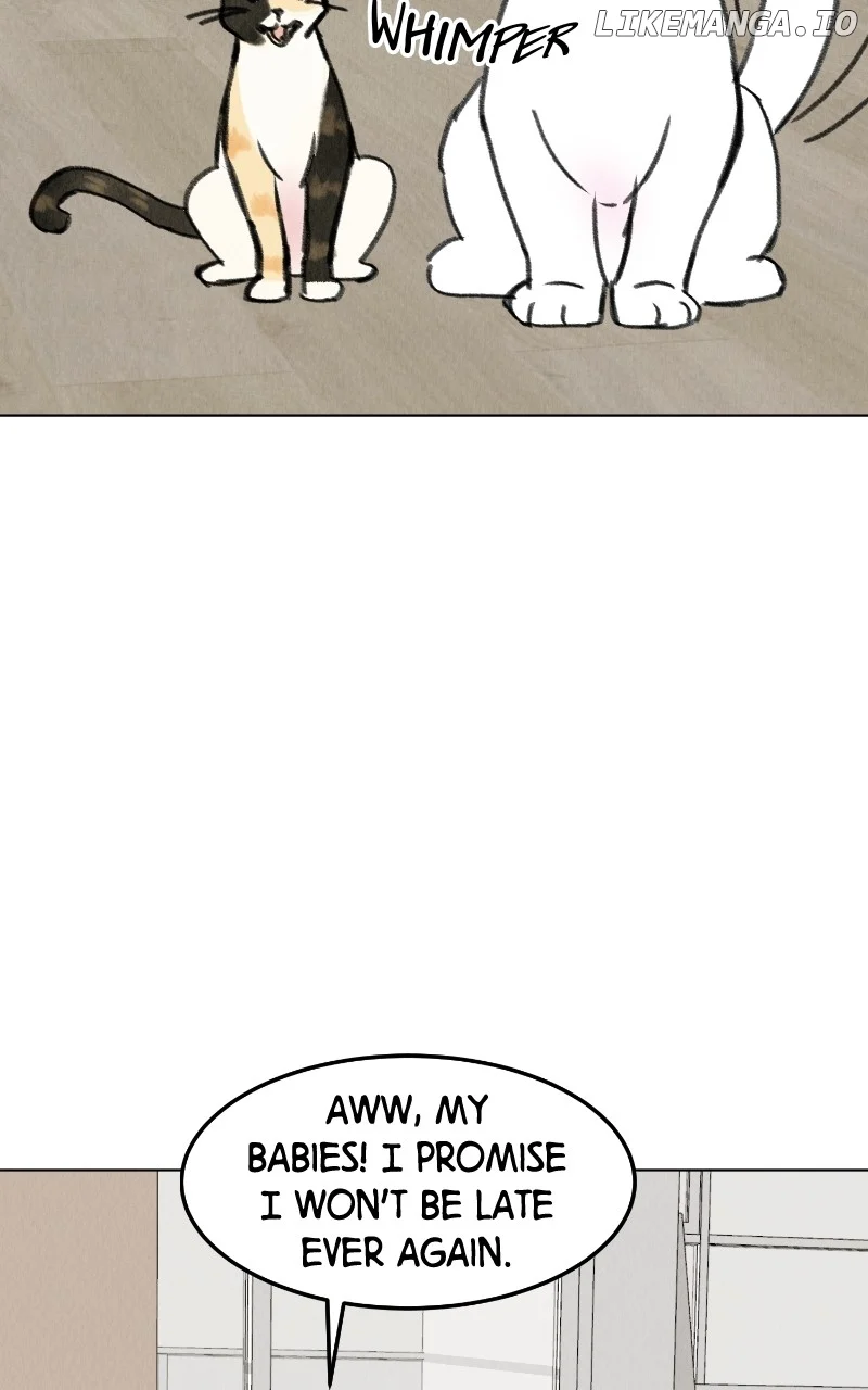 Want to See My Cat? chapter 28 page 49
