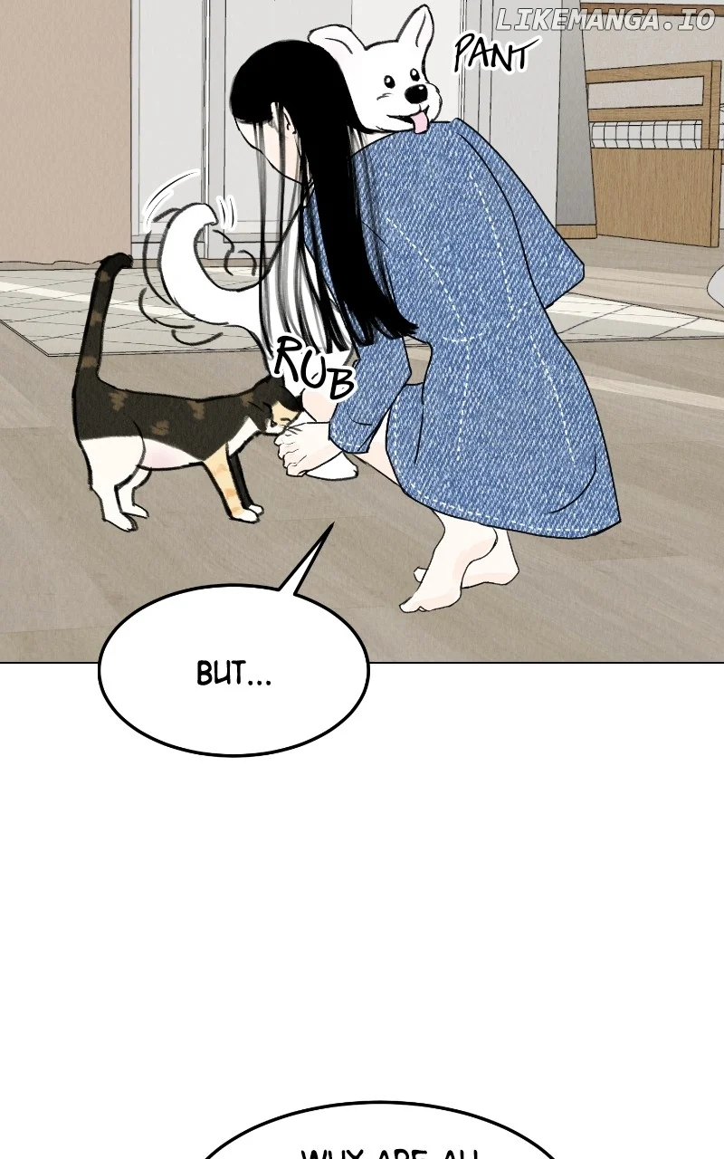 Want to See My Cat? chapter 28 page 50