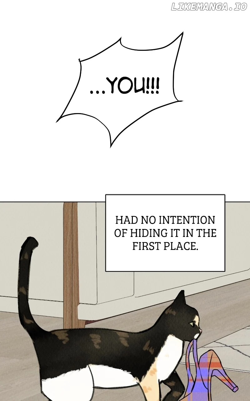 Want to See My Cat? chapter 28 page 53