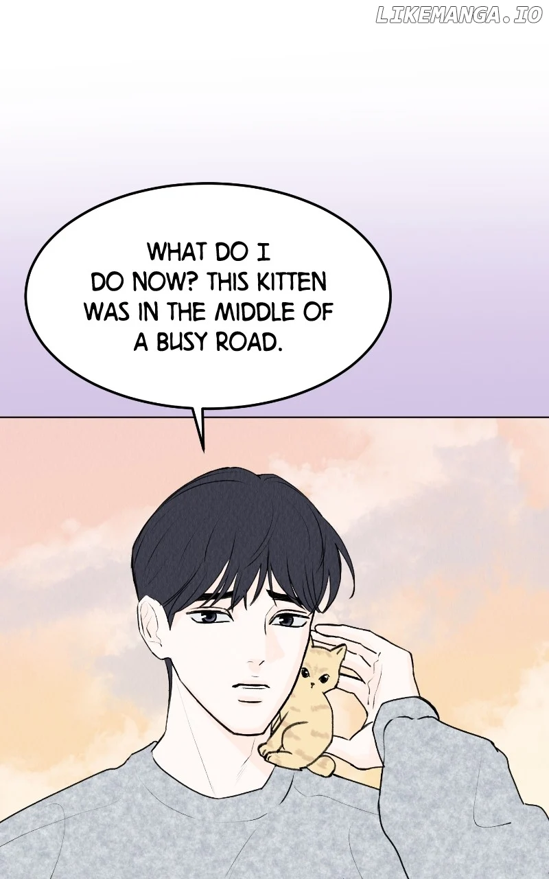 Want to See My Cat? chapter 29 page 3