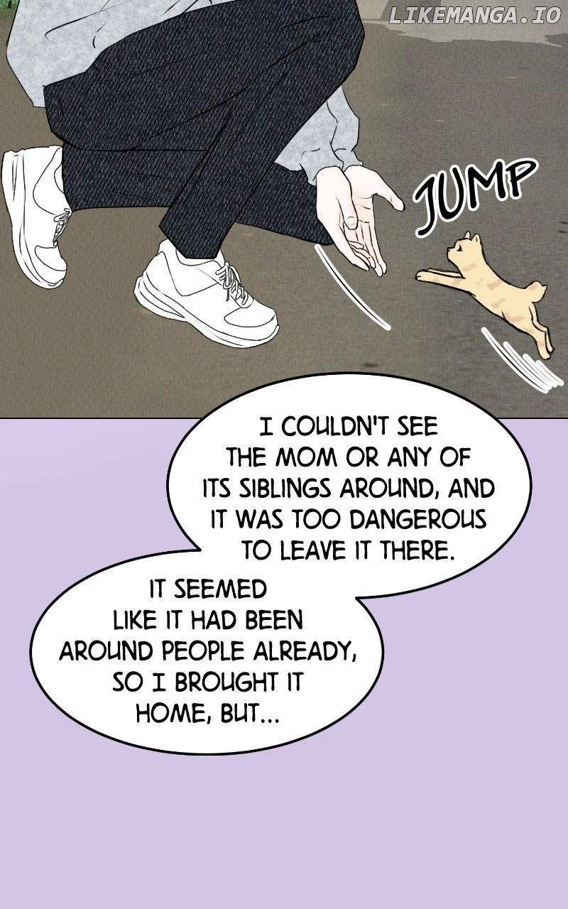 Want to See My Cat? chapter 29 page 5
