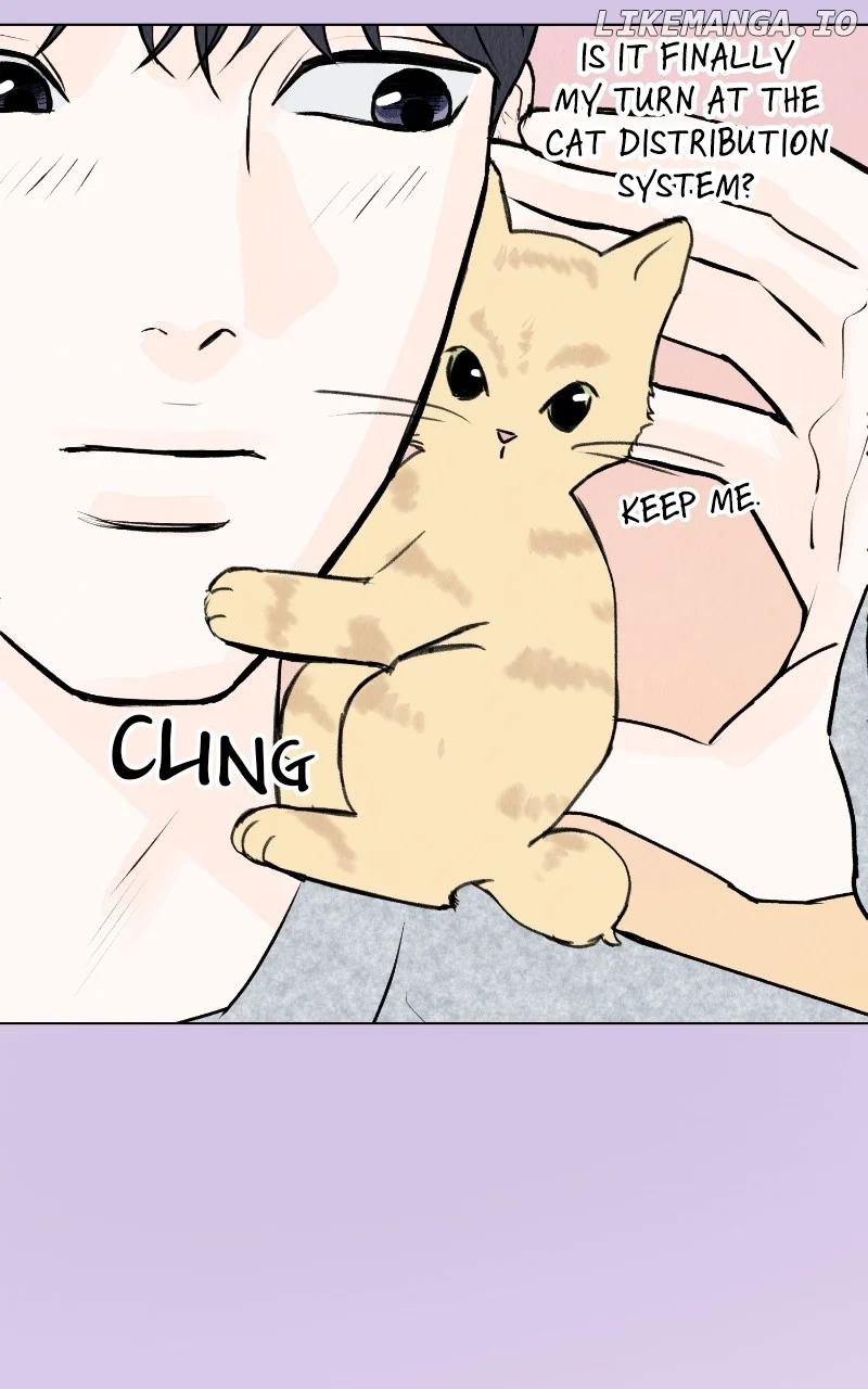 Want to See My Cat? chapter 29 page 6