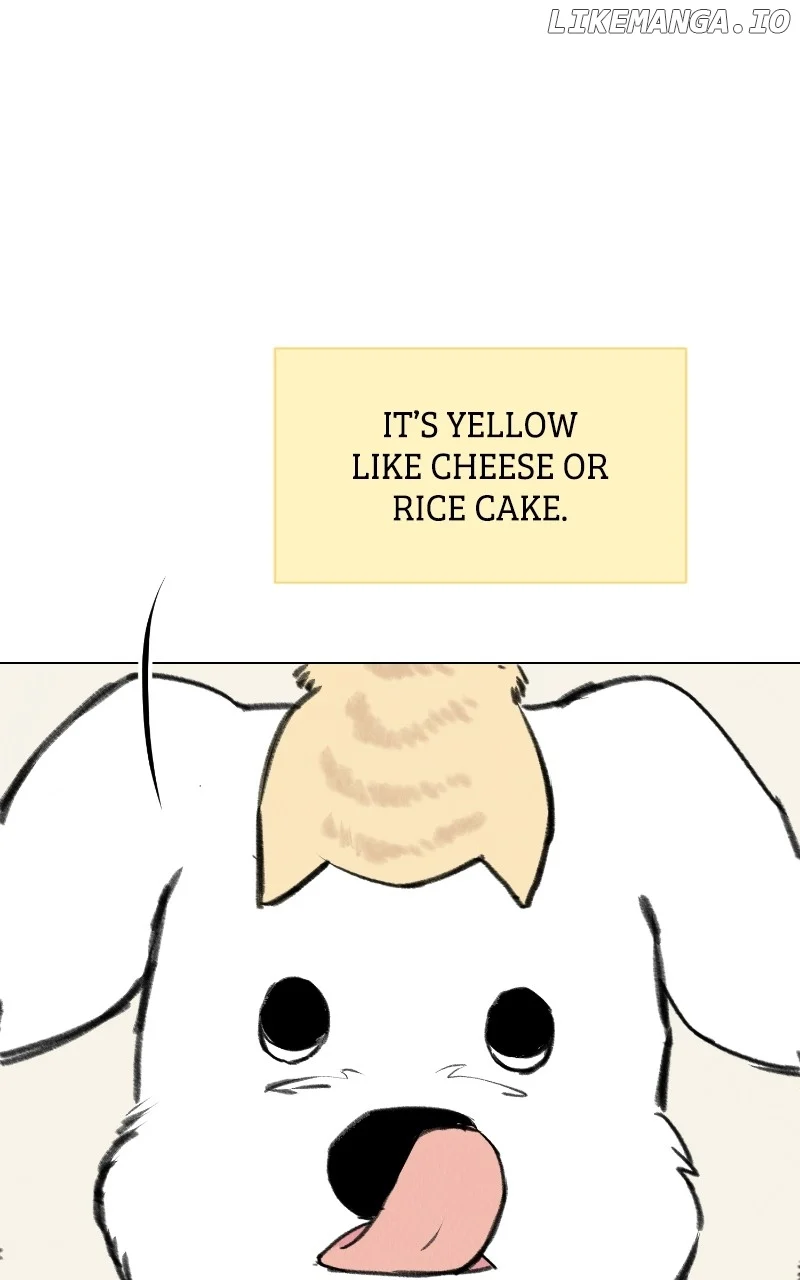 Want to See My Cat? chapter 33 page 16
