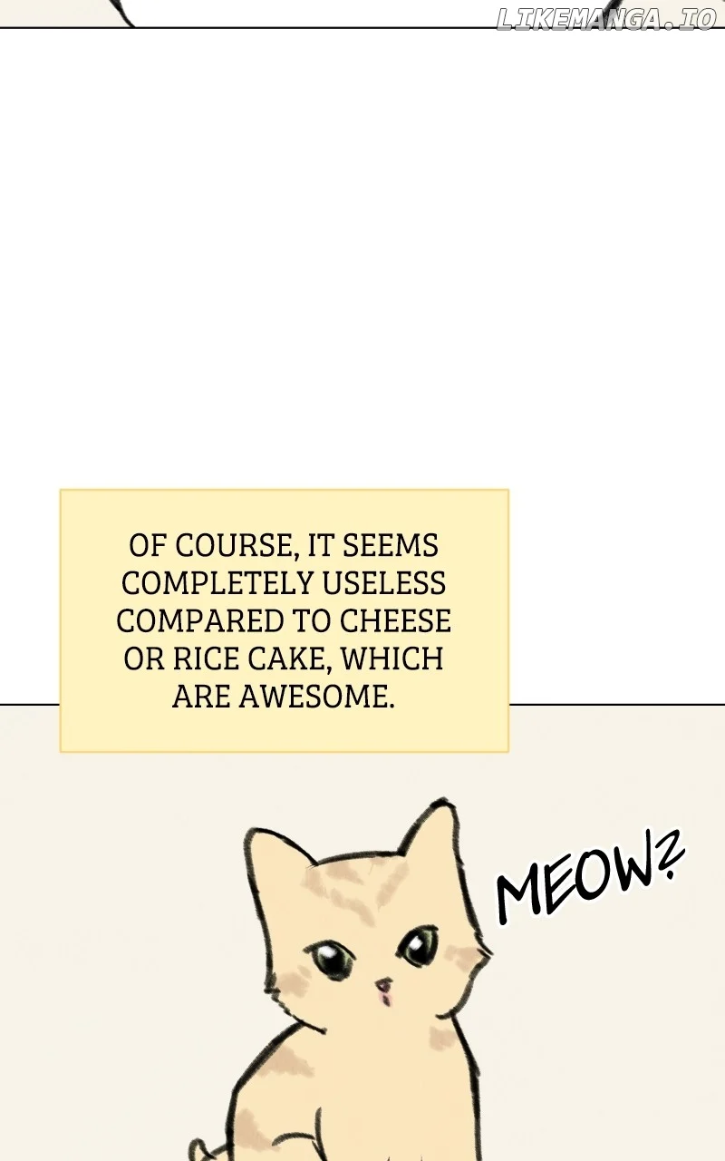Want to See My Cat? chapter 33 page 17