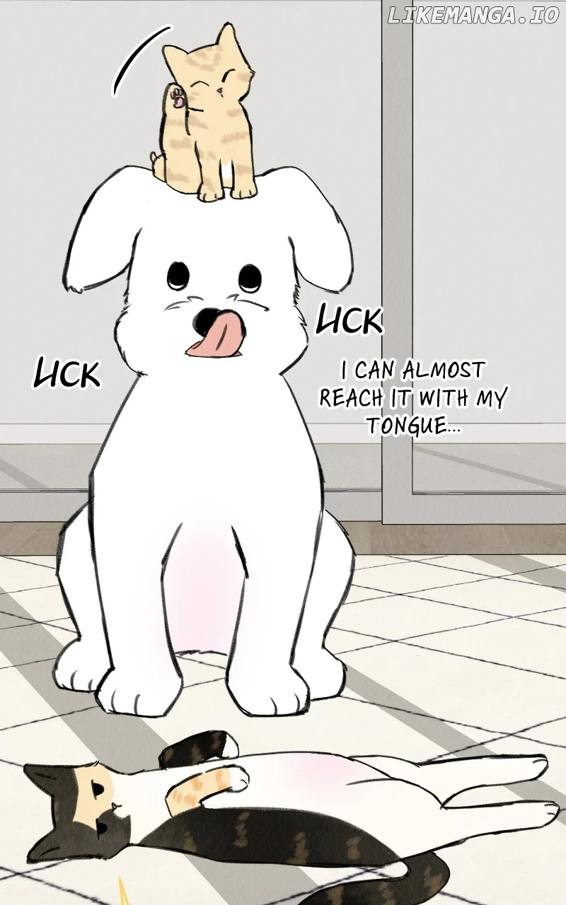 Want to See My Cat? chapter 33 page 19