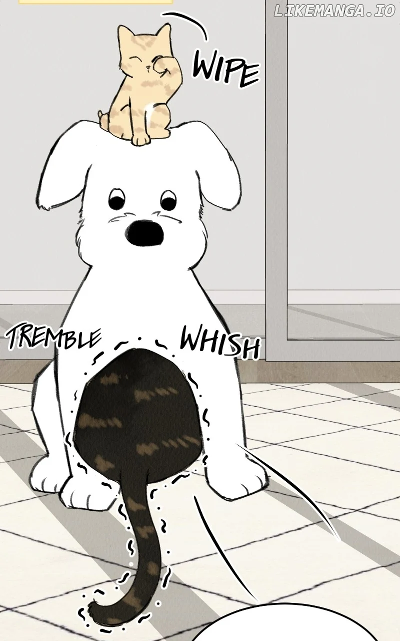 Want to See My Cat? chapter 33 page 21