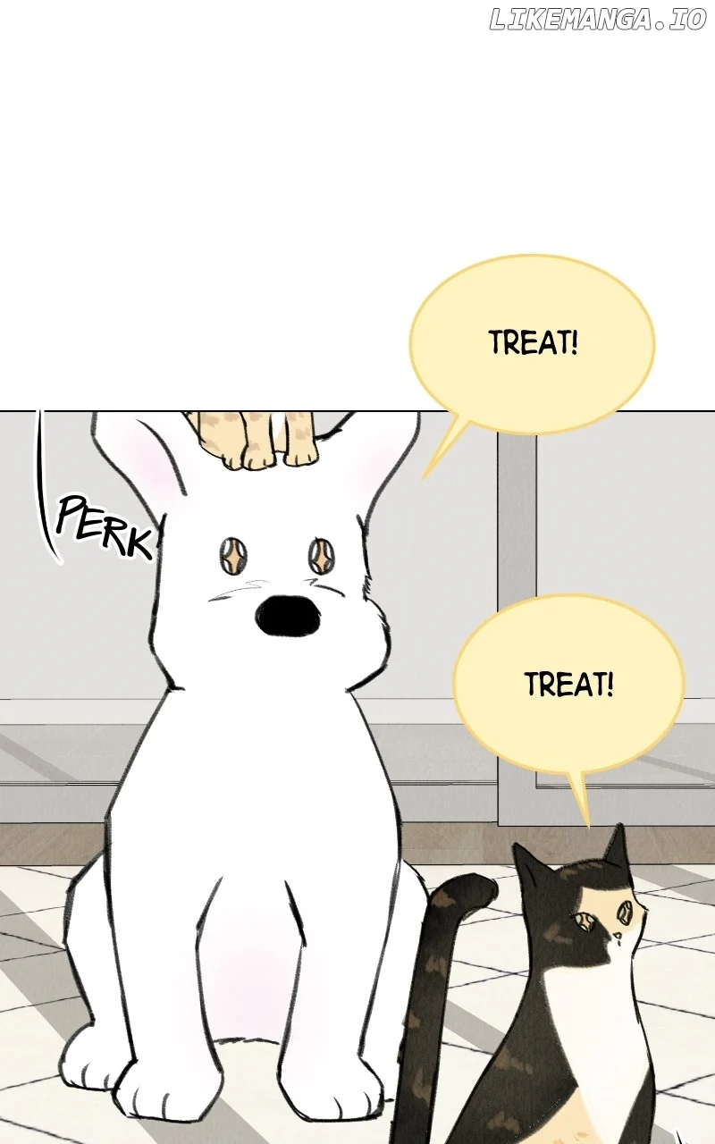 Want to See My Cat? chapter 33 page 27