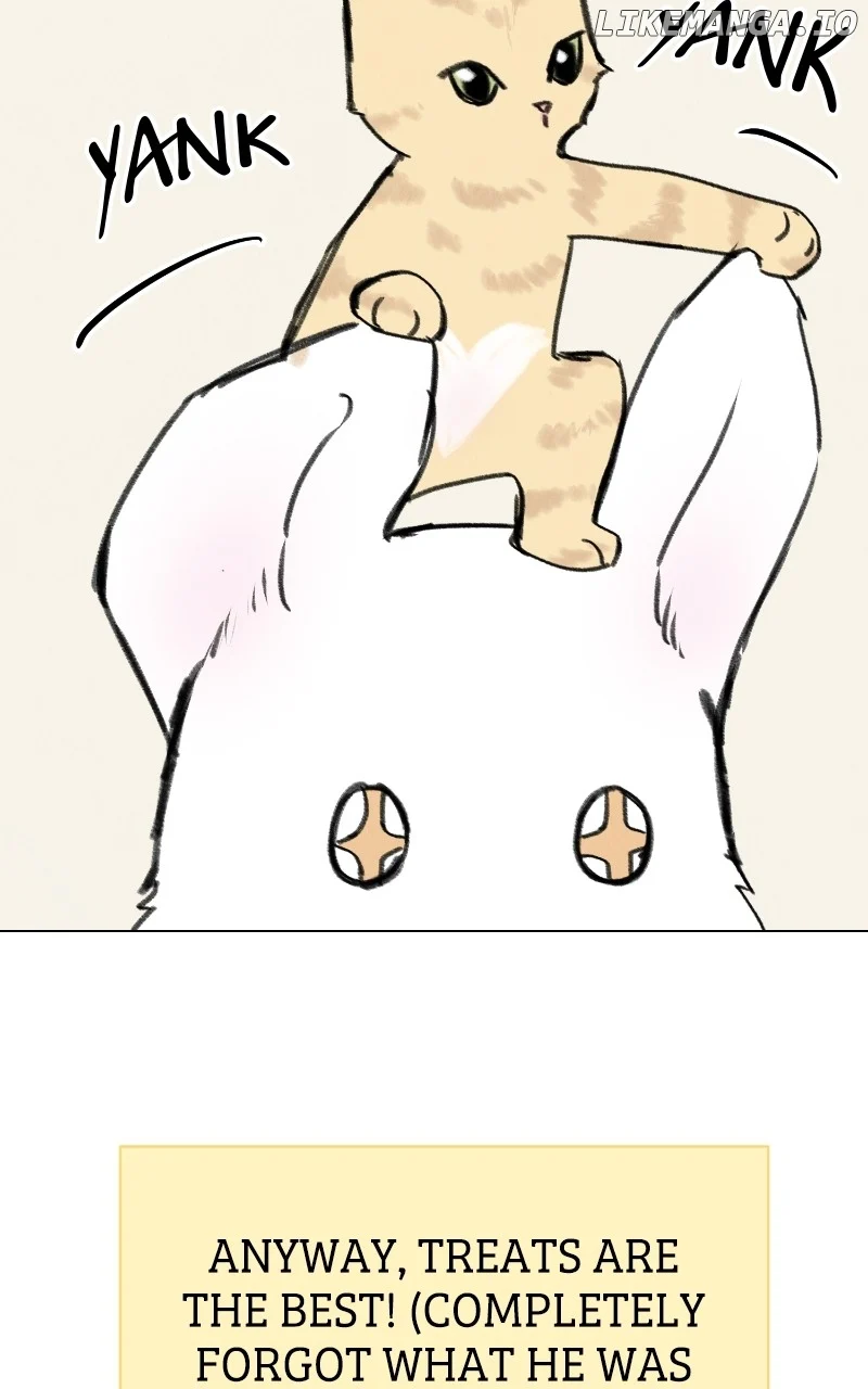 Want to See My Cat? chapter 33 page 29