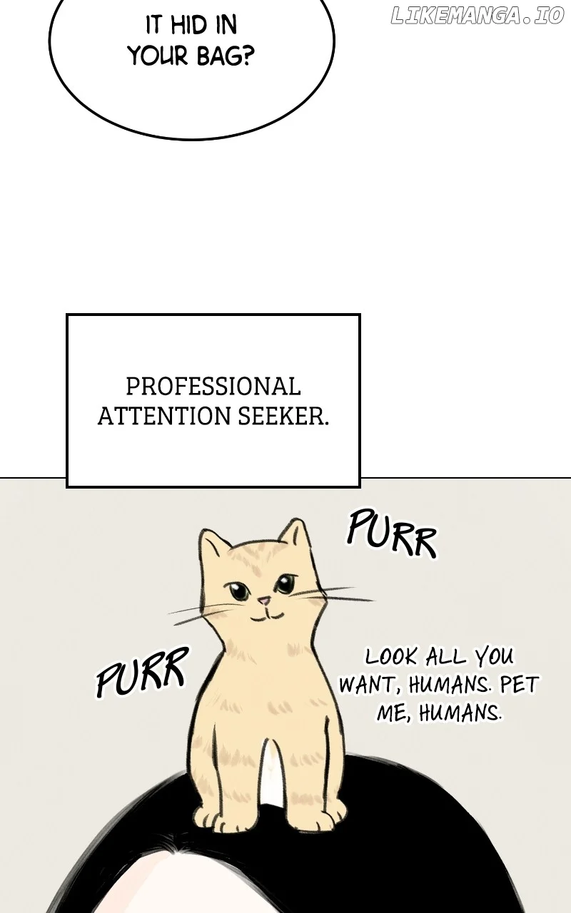 Want to See My Cat? chapter 34 page 58