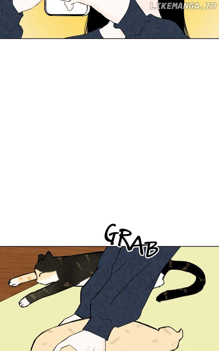 Want to See My Cat? chapter 39 page 29