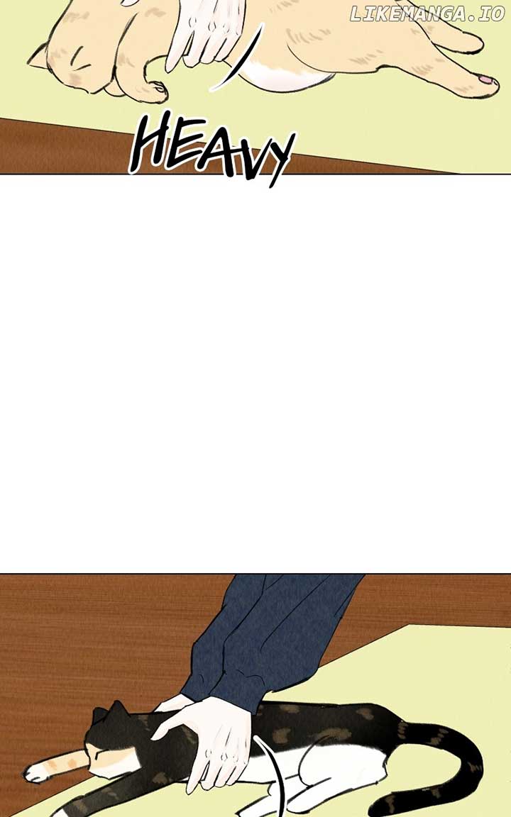 Want to See My Cat? chapter 39 page 30