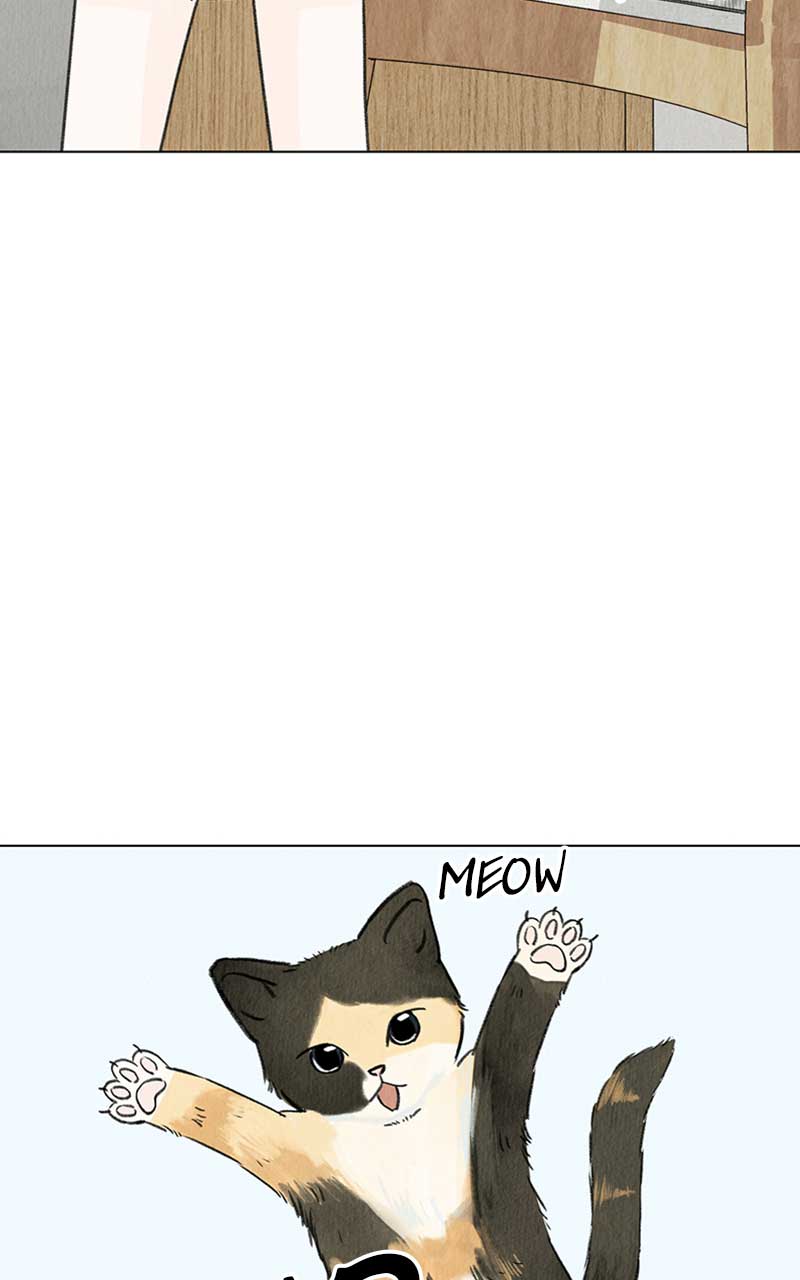 Want to See My Cat? chapter 4 page 5