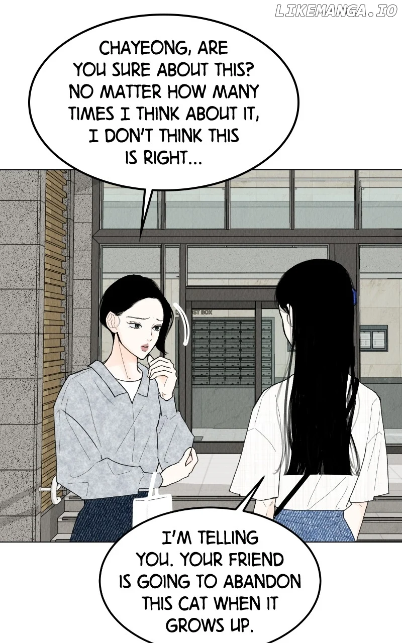 Want to See My Cat? chapter 47 page 2