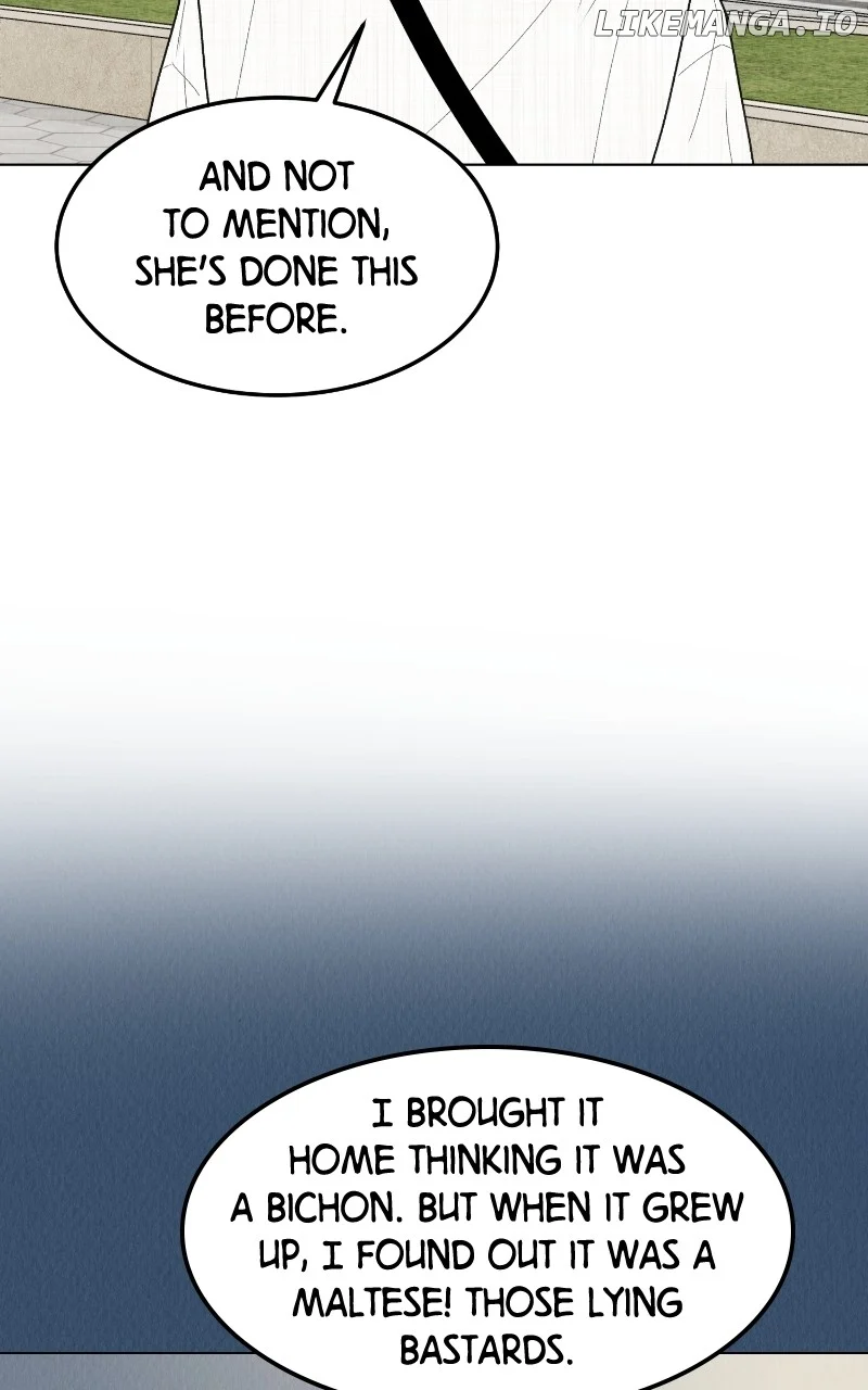 Want to See My Cat? chapter 47 page 4