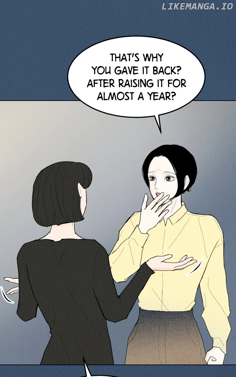 Want to See My Cat? chapter 47 page 6