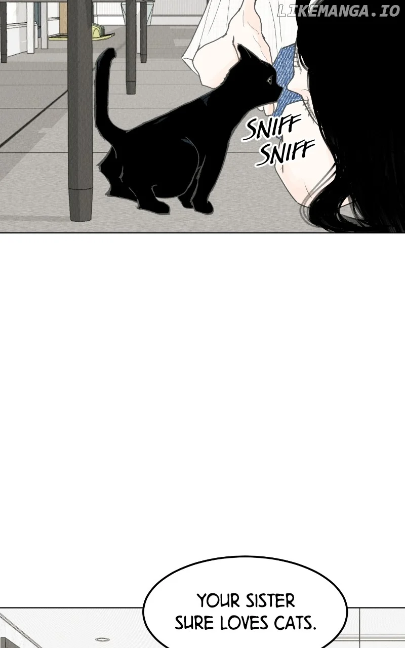 Want to See My Cat? chapter 47 page 29