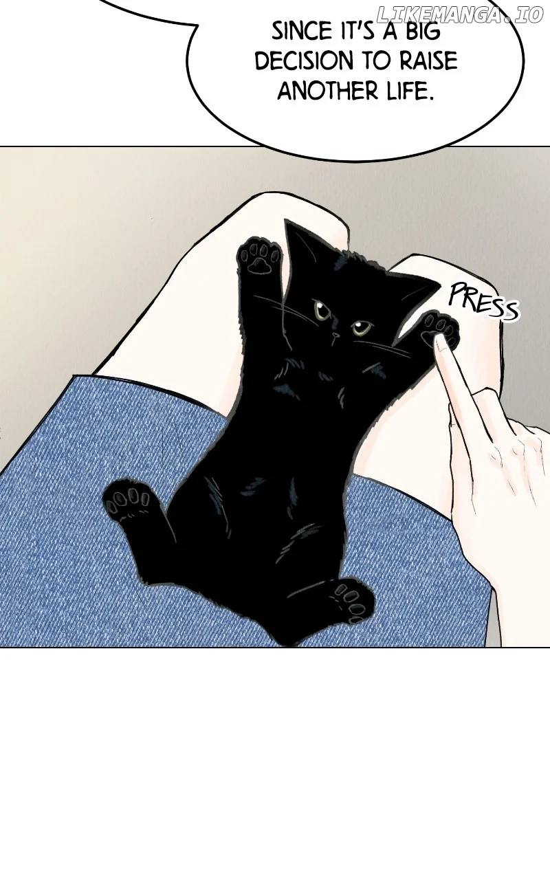 Want to See My Cat? chapter 47 page 37