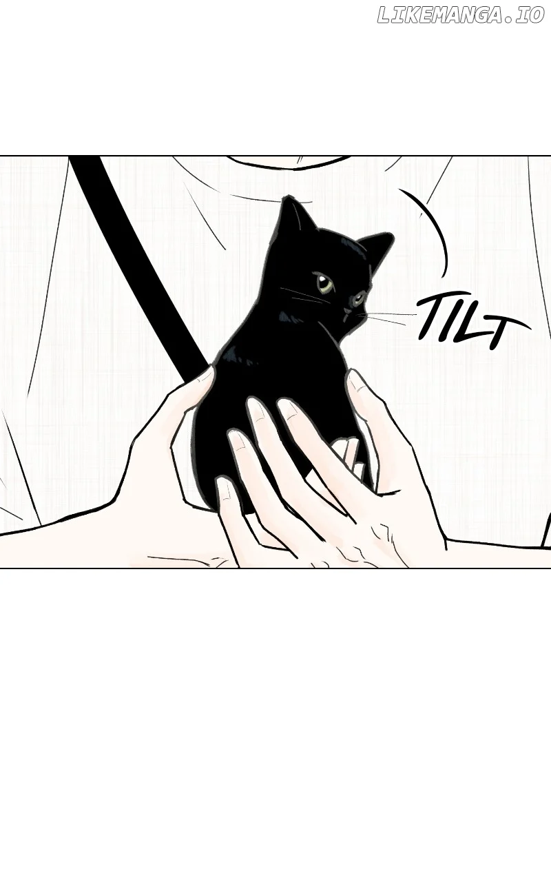 Want to See My Cat? chapter 47 page 52
