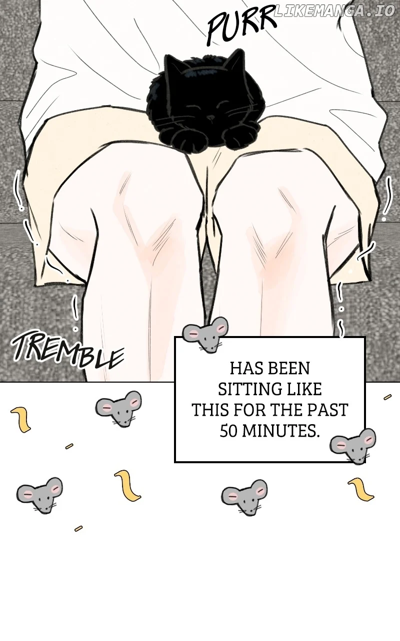 Want to See My Cat? chapter 48 page 32