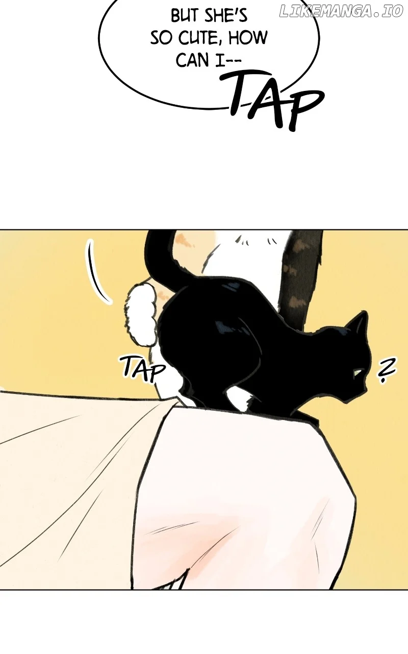 Want to See My Cat? chapter 48 page 34