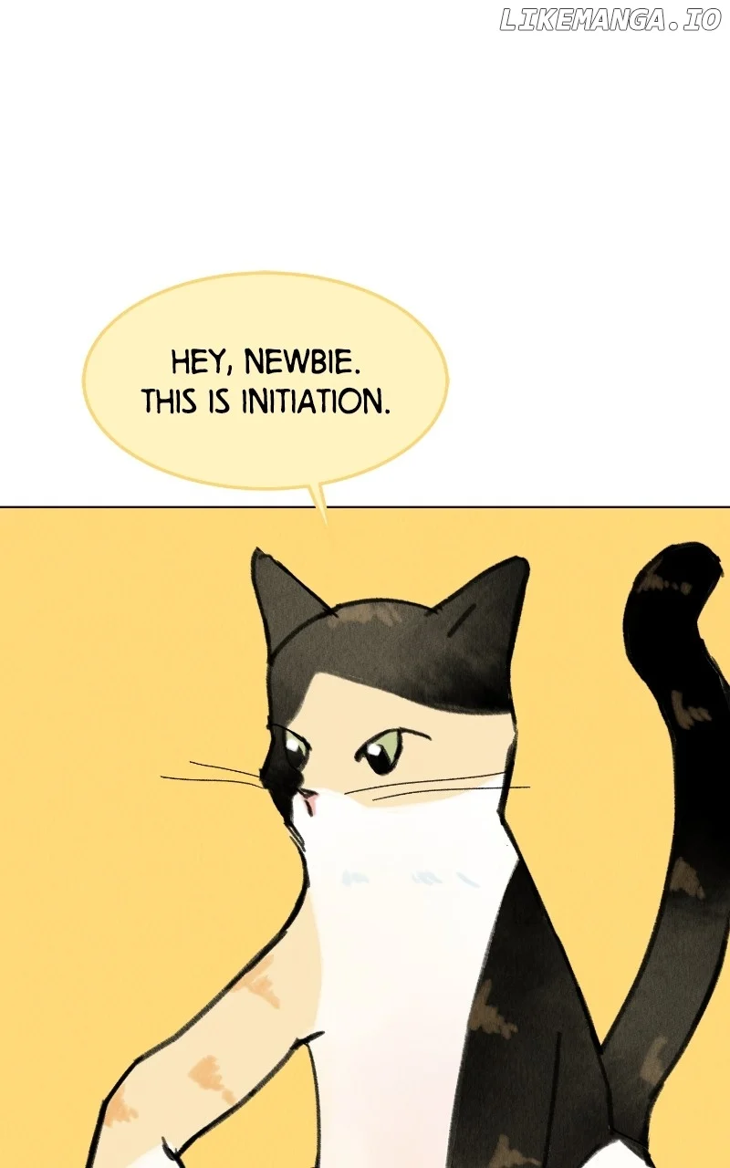 Want to See My Cat? chapter 48 page 35
