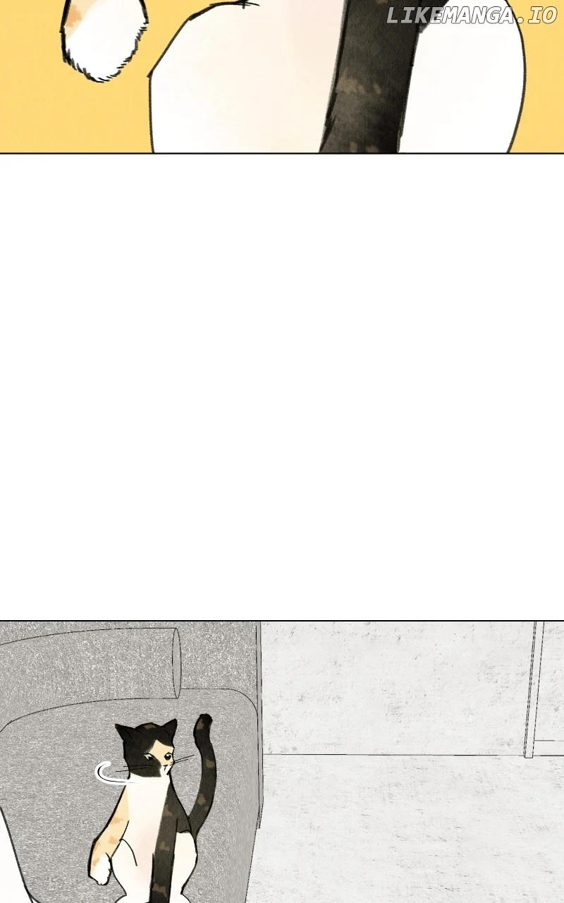 Want to See My Cat? chapter 48 page 36