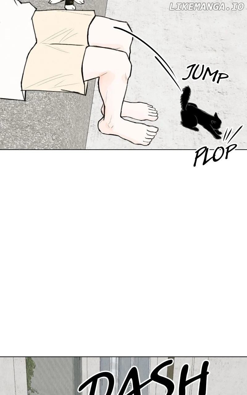 Want to See My Cat? chapter 48 page 37