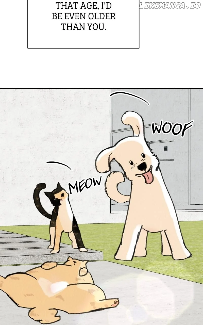 Want to See My Cat? chapter 50 page 33