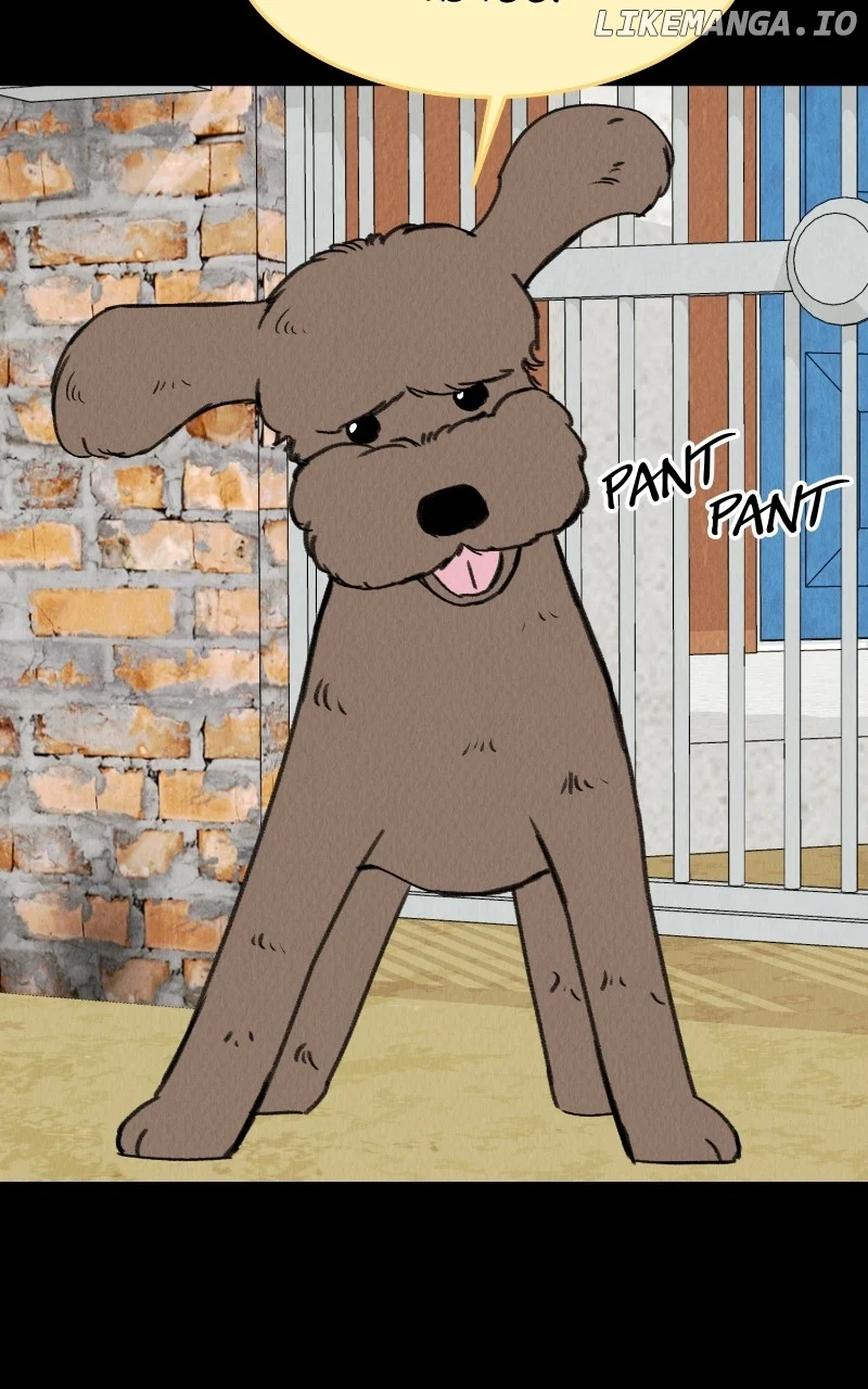 Want to See My Cat? chapter 58 page 41