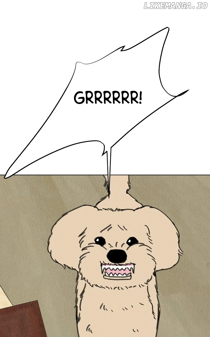 Want to See My Cat? chapter 59 page 38