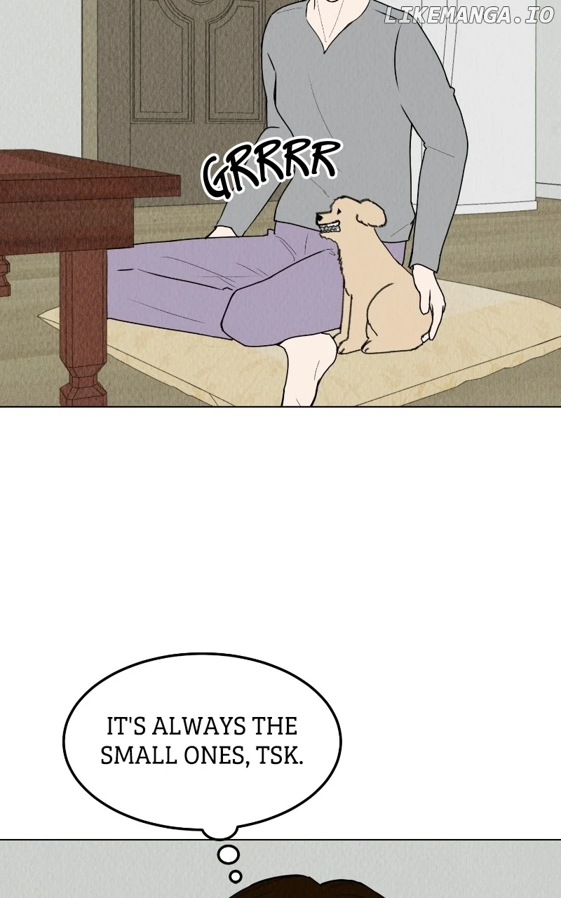 Want to See My Cat? chapter 59 page 40