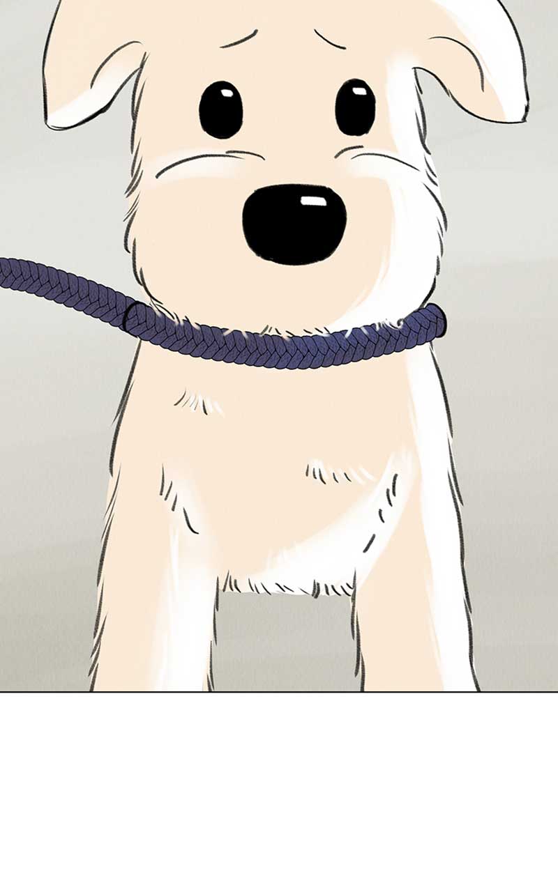 Want to See My Cat? chapter 6 page 33