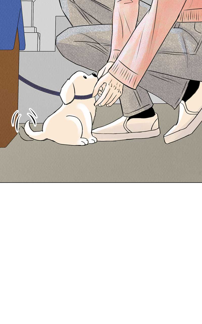 Want to See My Cat? chapter 6 page 44