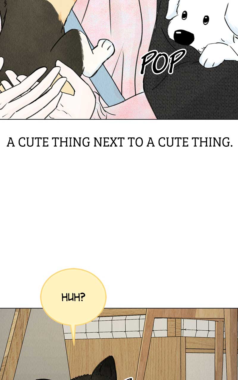 Want to See My Cat? chapter 6 page 79