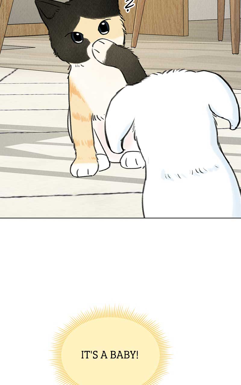 Want to See My Cat? chapter 6 page 80