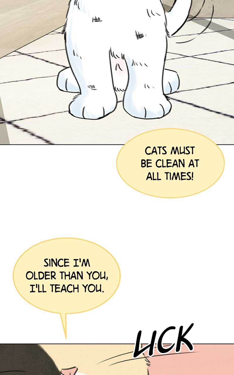 Want to See My Cat? chapter 6 page 84