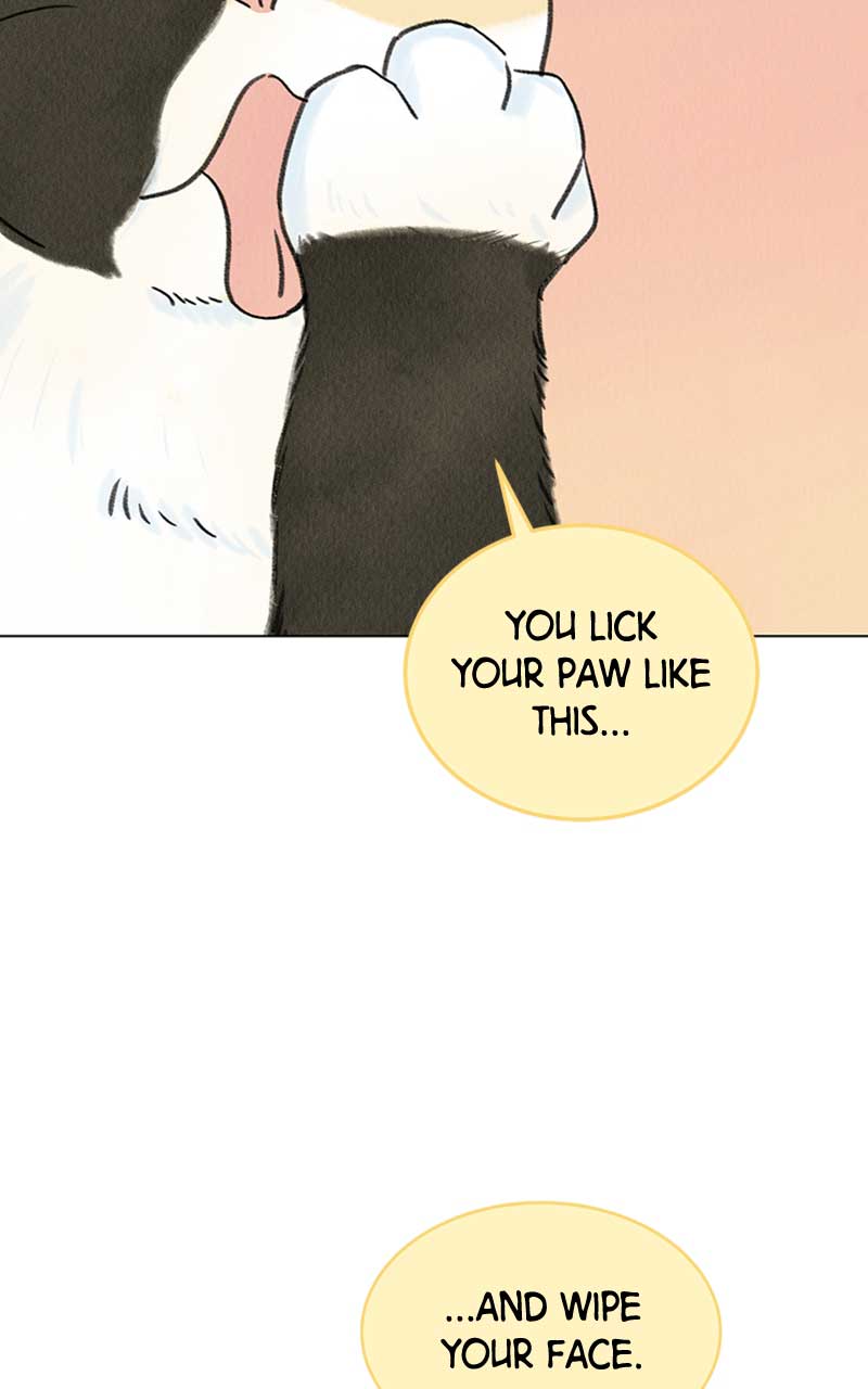 Want to See My Cat? chapter 6 page 85