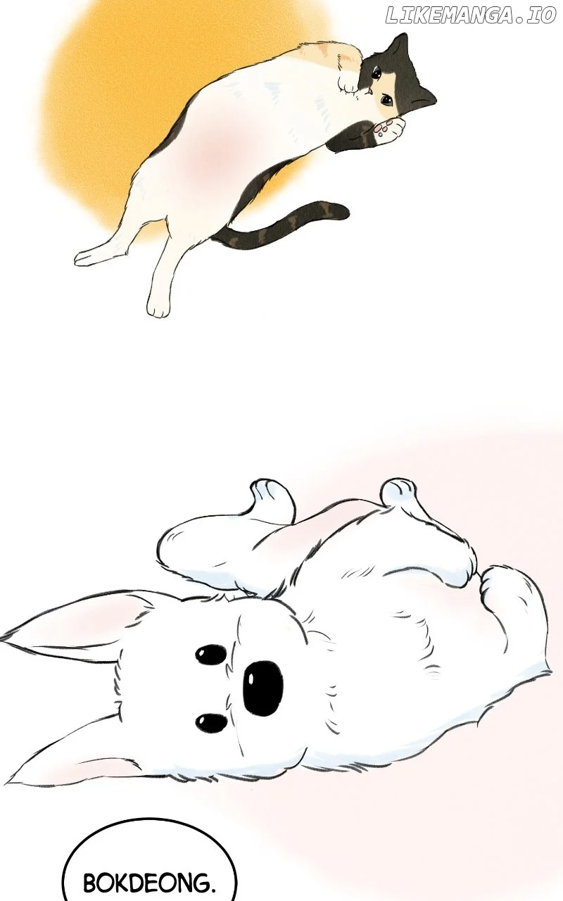 Want to See My Cat? chapter 63 page 70