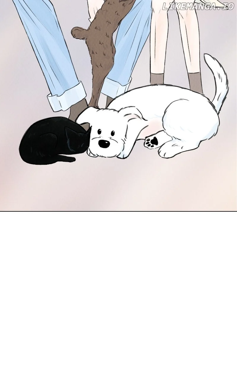 Want to See My Cat? chapter 63 page 77