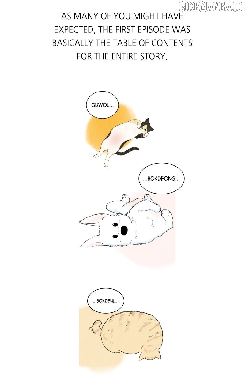 Want to See My Cat? chapter 71 page 7