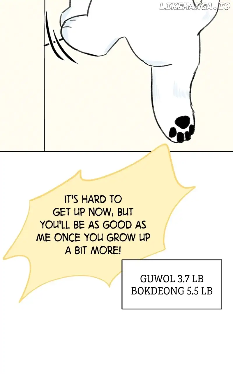 Want to See My Cat? chapter 9 page 24