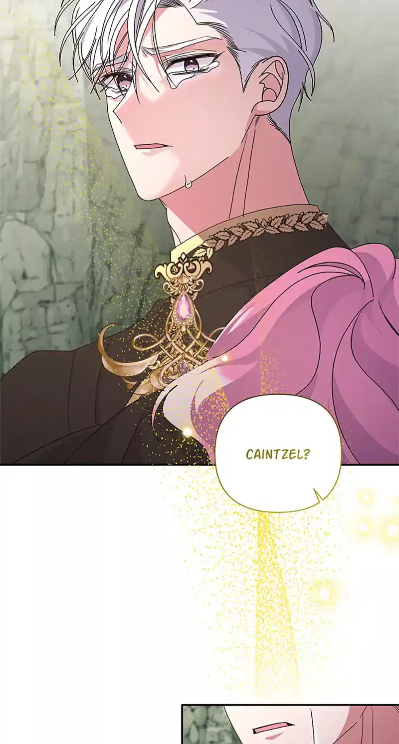 The Obsessive Second Male Lead Has Gone Wild chapter 61 page 47