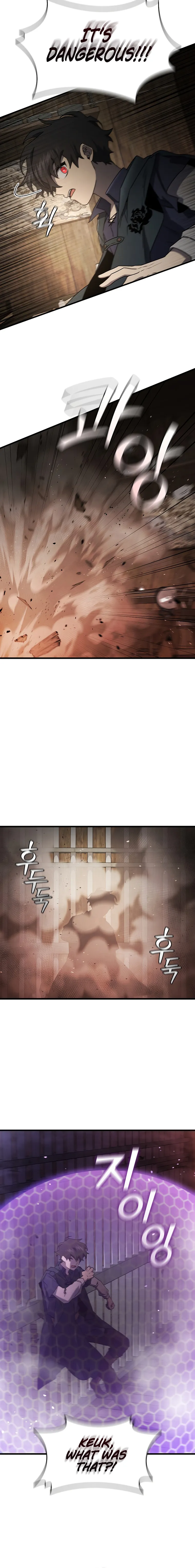 Dragon-Devouring Mage chapter 13 page 14