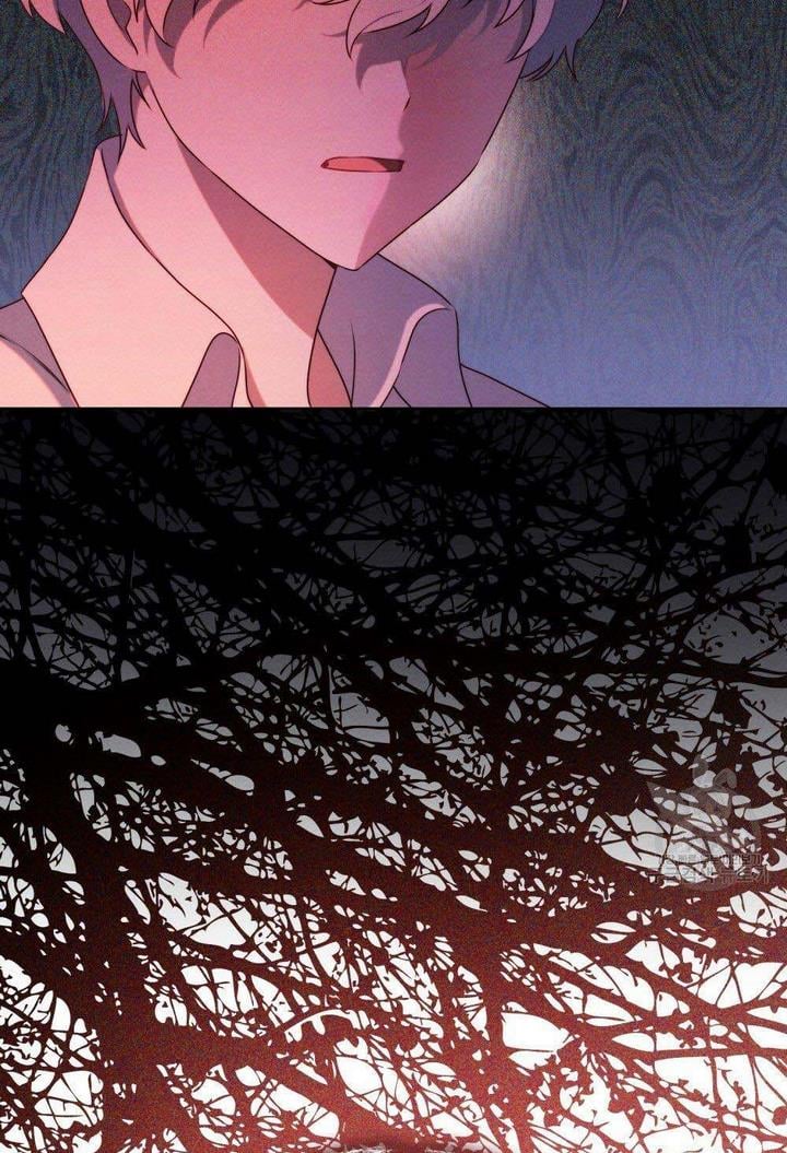 The golden dawn light will shine for you chapter 13 page 44