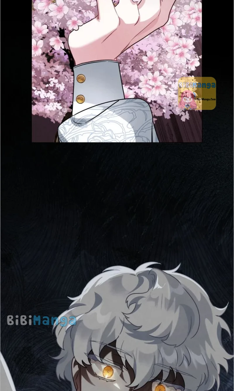 The golden dawn light will shine for you chapter 65 page 70