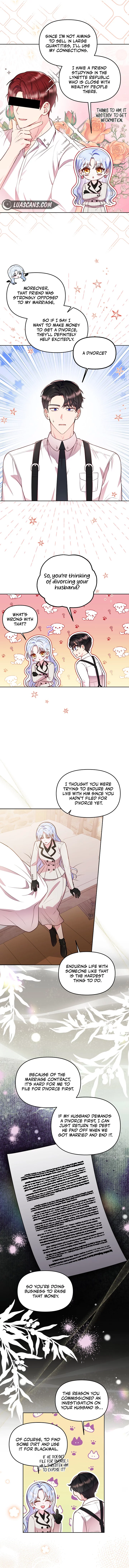 Divorce Plan chapter 13 page 3
