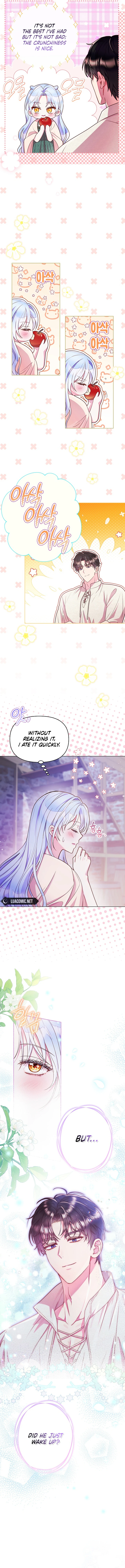 Divorce Plan chapter 30 page 7